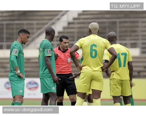 突尼斯足协财务危机曝光欠薪严重止步非洲杯16强内幕令人震惊